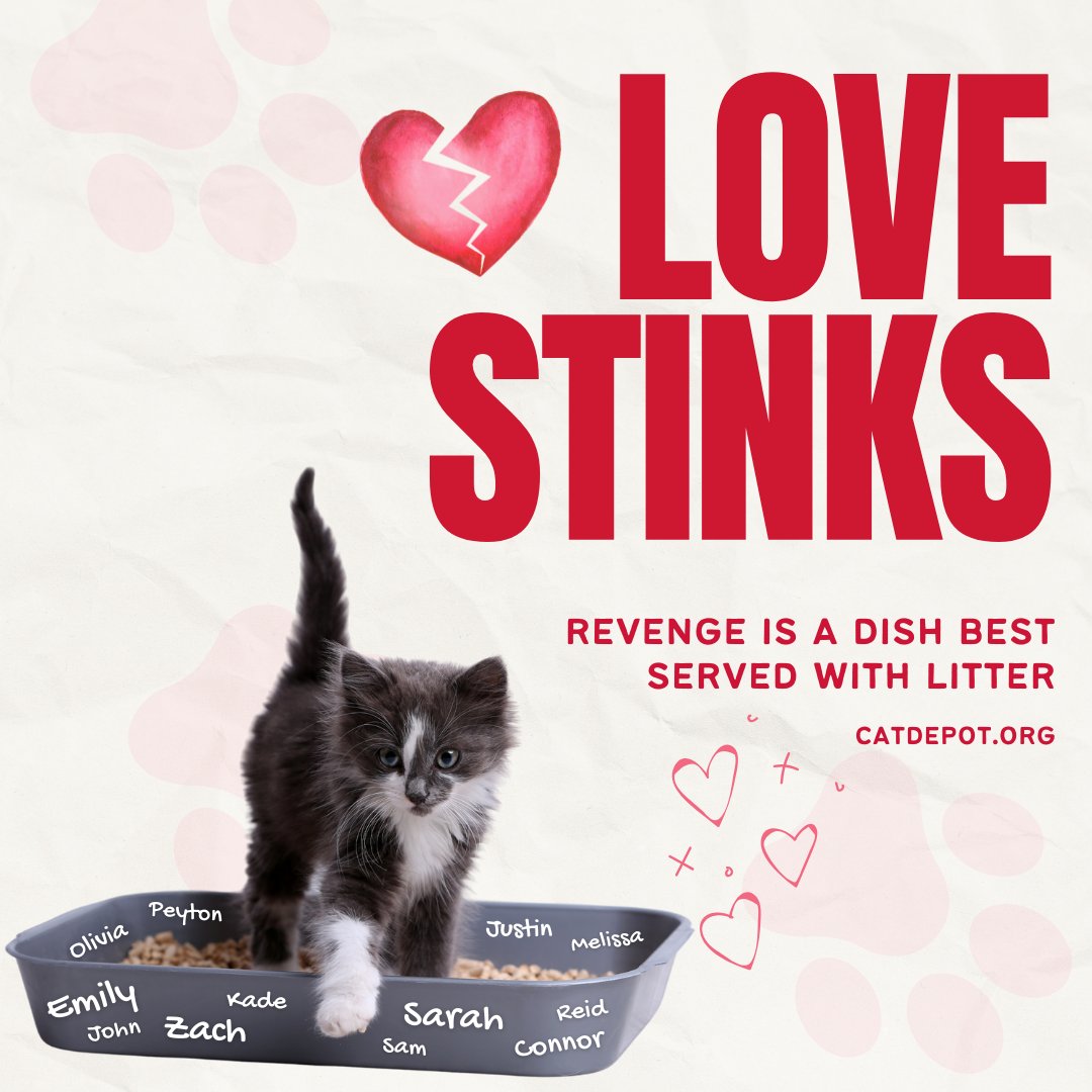 Do you know what stinks more than a room full of litter boxes? Exes! This Valentine's Day, karma is most definitely a cat. 

Let our shelter cats cover your former boo with their poo.

Revenge is a dish best served with litter: bit.ly/49fgU5m