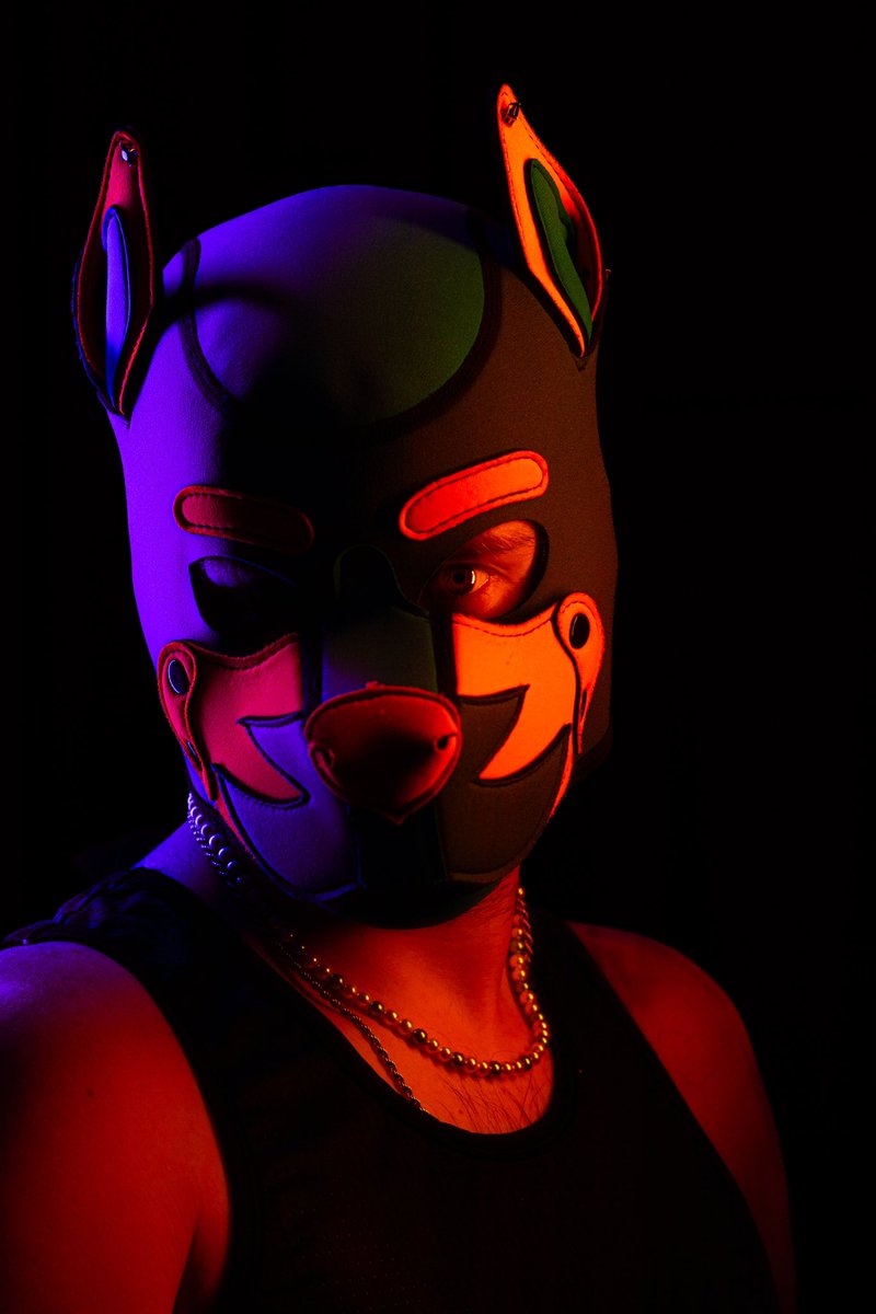 pupprestonphotos.bsky.social go give me a follow.  Photo to catch your attention

#pupplay #puppyplay #huamnpup