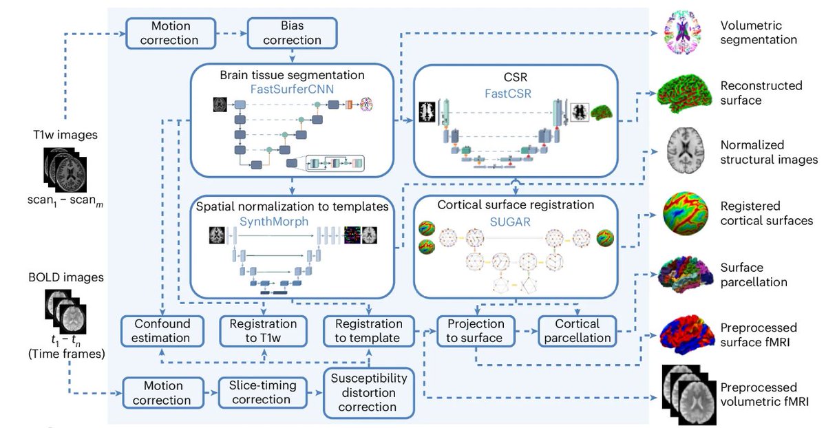 Nature Methods (@naturemethods) on Twitter photo DeepPrep is a preprocessing pipeline for functional and structural MRI data from human subjects. Deep learning-based modules and an efficient workflow allow DeepPrep to handle large datasets.
<a href="/DavidRen555/">Jianxun Ren (find me here @jianxunren.bsky.social)</a> <a href="/hesheng3/">Hesheng Liu</a>
nature.com/articles/s4159… DeepPrep is a preprocessing pipeline for functional and structural MRI data from human subjects. Deep learning-based modules and an efficient workflow allow DeepPrep to handle large datasets.
<a href="/DavidRen555/">Jianxun Ren (find me here @jianxunren.bsky.social)</a> <a href="/hesheng3/">Hesheng Liu</a>
nature.com/articles/s4159…