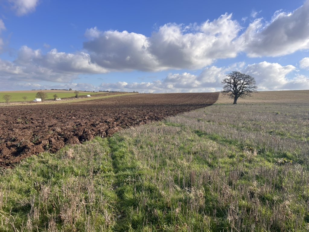 AnthonyBecvar tweet media