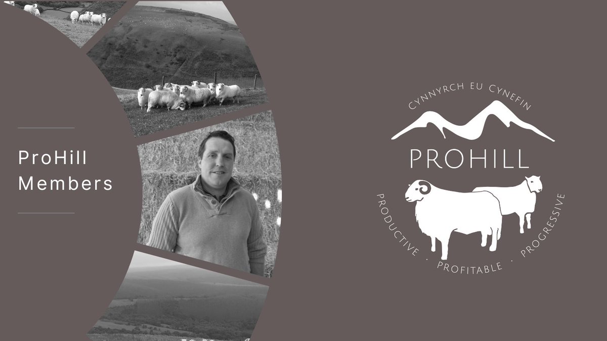 ProHill tweet media