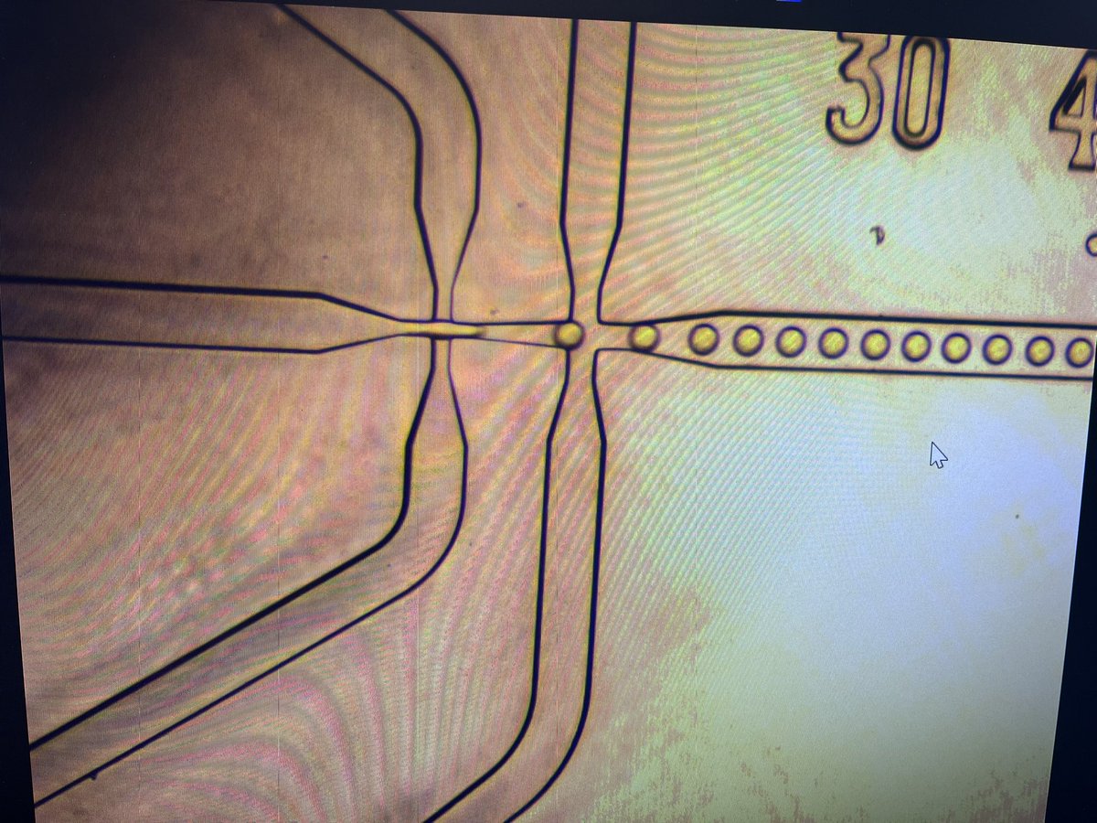 Double emulsion droplets and controlling directional flow - long week, early mornings and late nights but a good result……… if the grants get reviewed that is