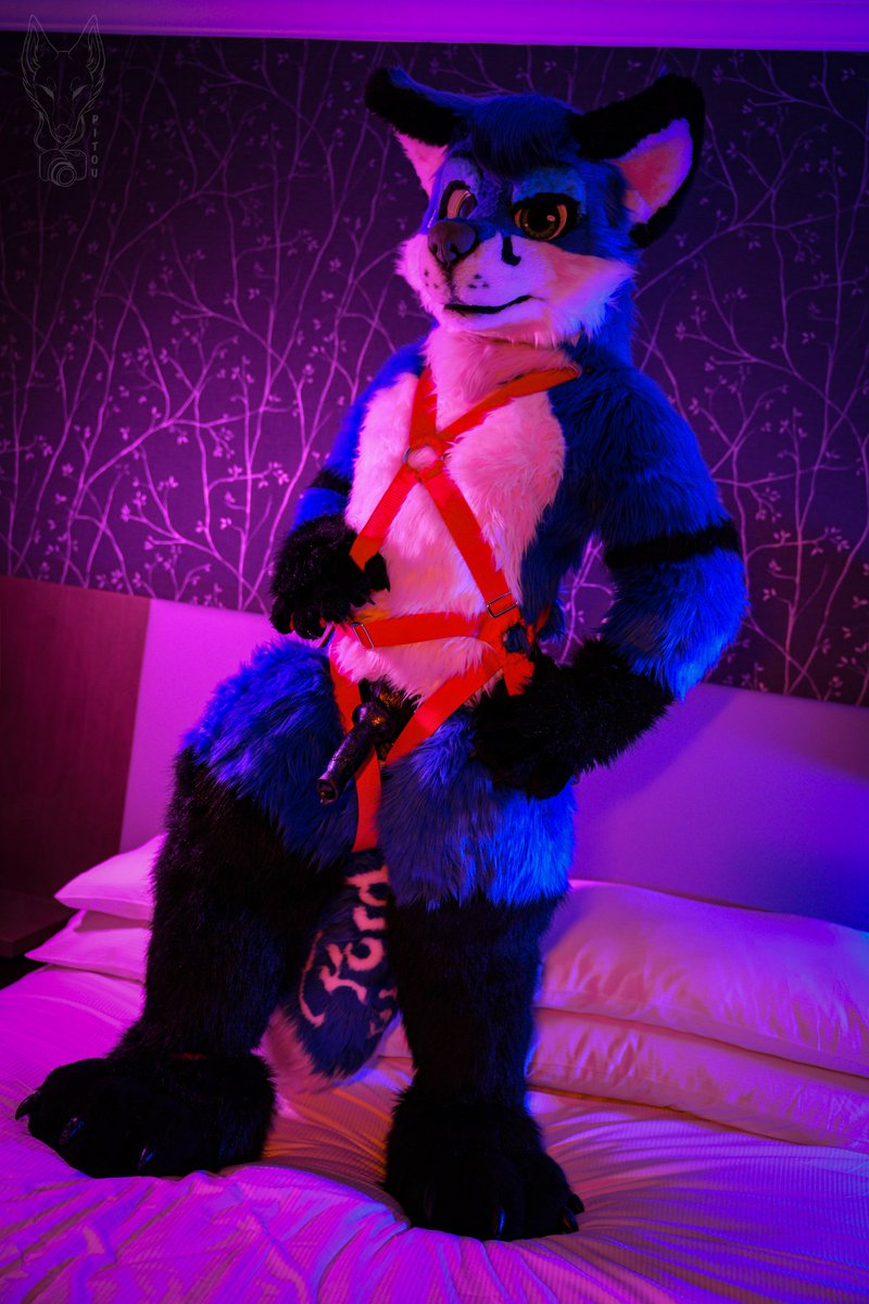 Henry Fox AD #FBL13 #Anthropolis tweet media