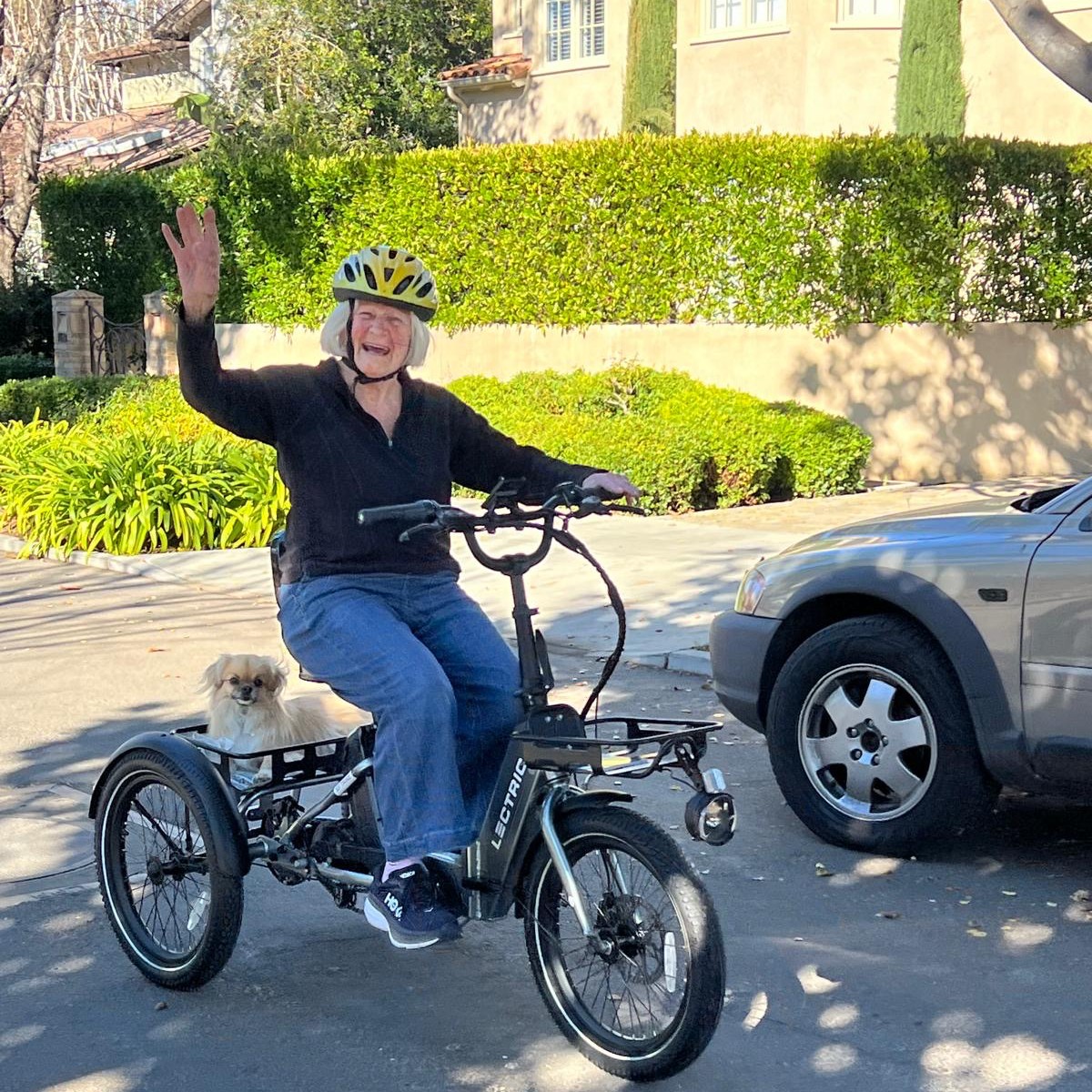 lectricebikes's tweet image. 🎉 Congratulations to our January photo contest winner!🎉

&quot;My 91 year old mother, Mary, on her inaugural ride with her dog Sabrina!&quot; 

Share all your eBike excursions with us via the Livin&apos; Lectric Photo Contest!

📸: Michelle S. 📍: Palo Alto, CA
#LectriceBikes #LivinLectric