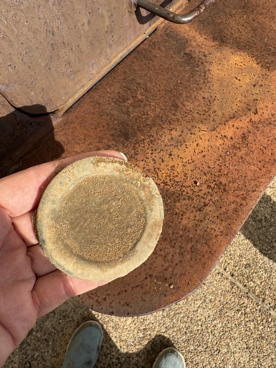 My 10 min dig produced an old mason jar lid with an intact top. Win!!!