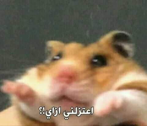 اعتزل ما يؤذيك