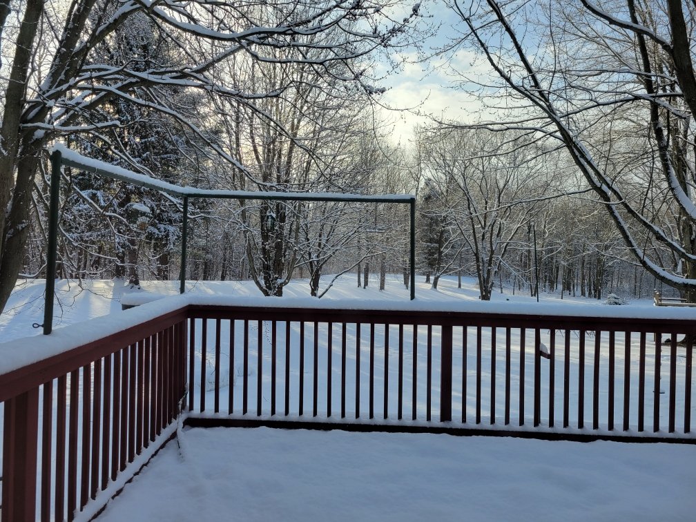 Chris Hyman, EMCP Level 2 (@chyman_g) on Twitter photo Wheels back up. Heading back home to snowy Western NY. Already looking forward to <a href="/GCSAAConference/">GCSAA Conference and Trade Show</a> Orlando. <a href="/GCSAA/">GCSAA</a> <a href="/gcsany/">GCSANY</a> <a href="/reelturftechs/">Reel Turf Techs</a> Wheels back up. Heading back home to snowy Western NY. Already looking forward to <a href="/GCSAAConference/">GCSAA Conference and Trade Show</a> Orlando. <a href="/GCSAA/">GCSAA</a> <a href="/gcsany/">GCSANY</a> <a href="/reelturftechs/">Reel Turf Techs</a>
