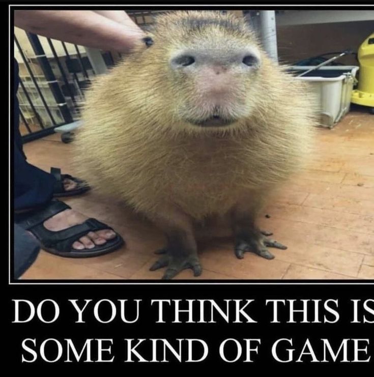 We need to bond so we can airdrop guys. 

app.big.fun/token/e939085b…