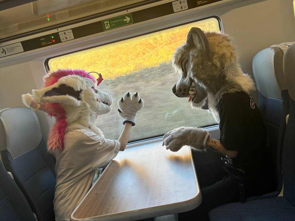 🕷 ѕνєηяιη 🕷🔜 cfz EF tweet media