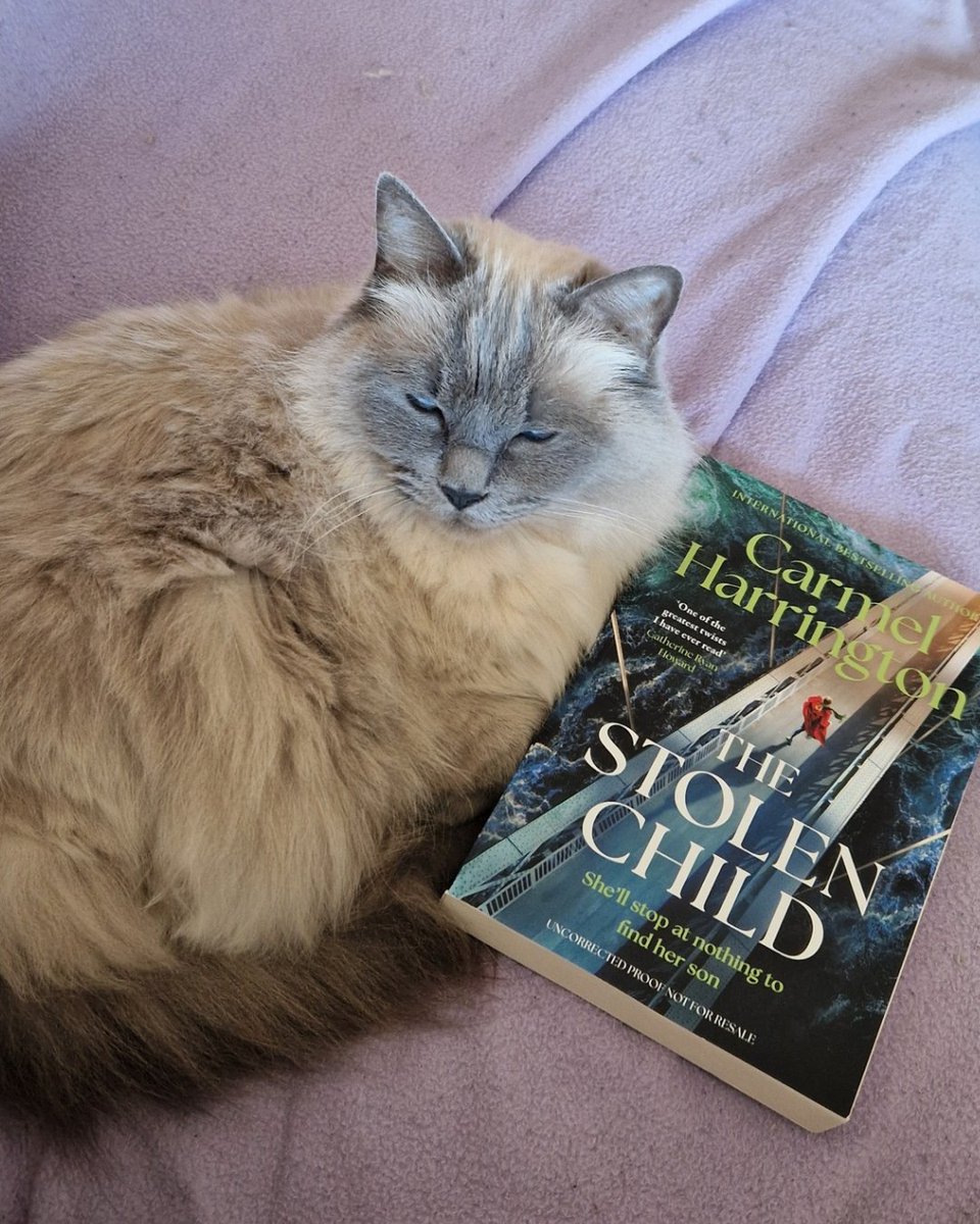 Started my next read at lunch after spending far too long on my previous one. Sadly Darcy isn't happy with me at present, she's annoyed that she isn't allowed to scratch at the new sofa.

#CatsOfTwitter #currentlyreading #books