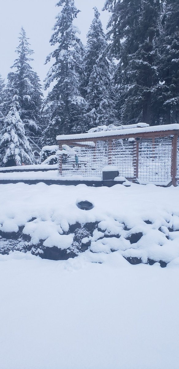seabeck's tweet photo. Still snowing a little, it should be stopping soon. https://t.co/6xqf5qVPGK
