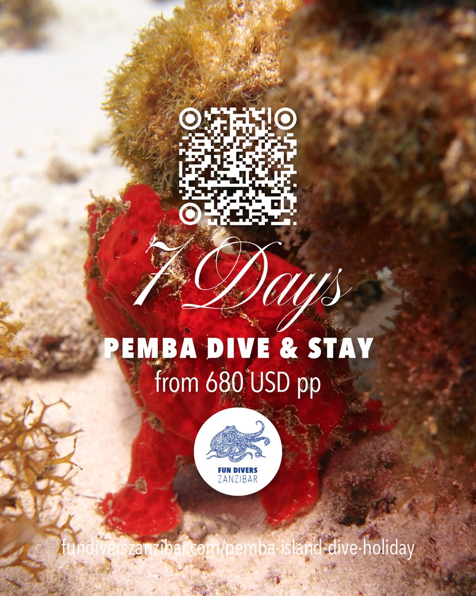 Exclusive Pemba Island Dive Holiday—With Fun Divers Zanzibar, your local PADI Dive Resort · 7 days from 680 USD · Limited spots available · Book now: fundiverszanzibar.com/pemba-island-d…