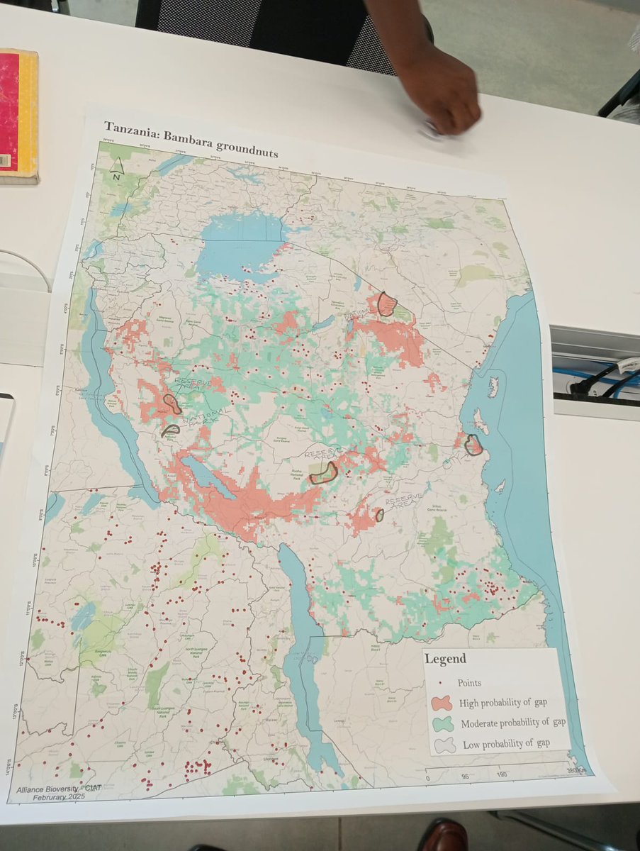 Lizeth Llanos tweet media