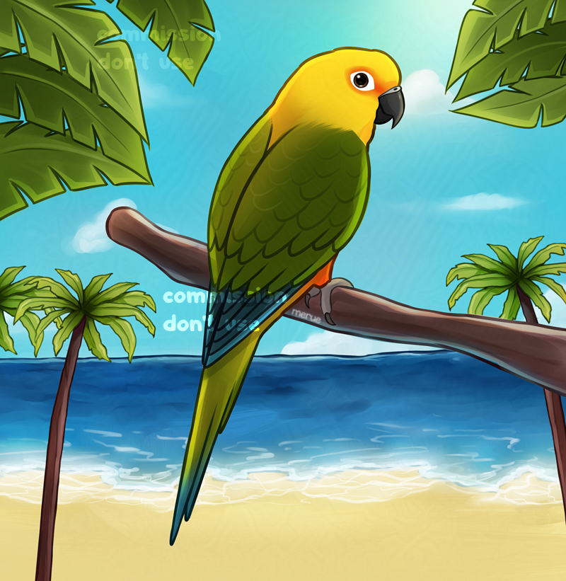 commission of a sun conure! 💕