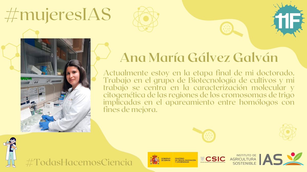IAS-CSIC (@ias_csic) on Twitter photo 📸📷 Ana María Gálvez Galván 🔬 🧬 🌾
#TodasHacemosCiencia #CSIC <a href="/CSICdivulga/">CSIC Divulga</a> <a href="/11defebreroES/">Día Mujer y Ciencia</a> <a href="/CMyC_CSIC/">Comisión Mujeres y Ciencia del CSIC</a> <a href="/IAS_CSIC/">IAS-CSIC</a> <a href="/AnaGalvezGalvan/">Ana Gálvez Galván</a> <a href="/wheatmeiosis/">wheatmeiosis IAS CSIC</a> 📸📷 Ana María Gálvez Galván 🔬 🧬 🌾
#TodasHacemosCiencia #CSIC <a href="/CSICdivulga/">CSIC Divulga</a> <a href="/11defebreroES/">Día Mujer y Ciencia</a> <a href="/CMyC_CSIC/">Comisión Mujeres y Ciencia del CSIC</a> <a href="/IAS_CSIC/">IAS-CSIC</a> <a href="/AnaGalvezGalvan/">Ana Gálvez Galván</a> <a href="/wheatmeiosis/">wheatmeiosis IAS CSIC</a>