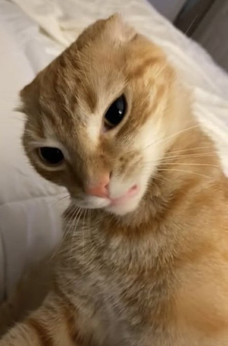 Watch Joka $7 OF NO PPV🥰's leaked NSFW photo on TwXstars