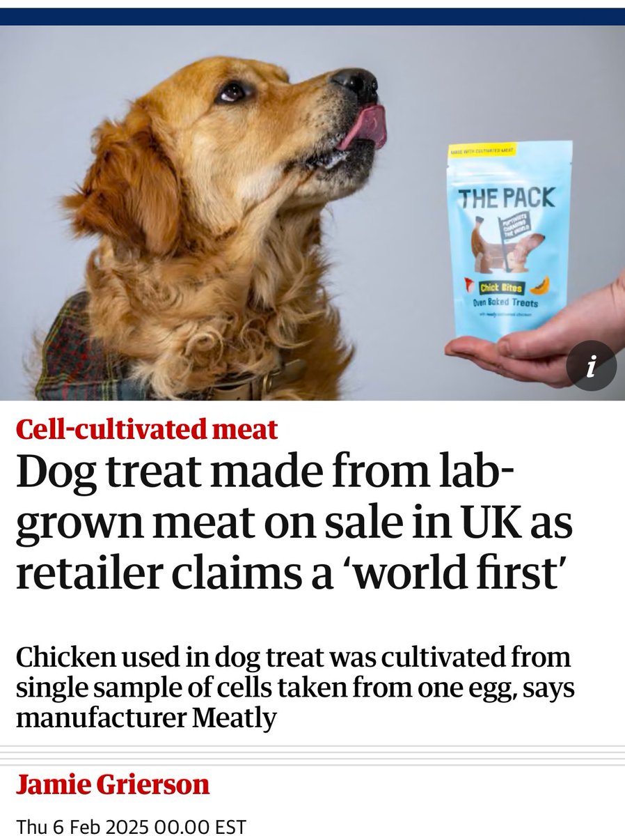 World’s first dog treats made with cultivated chicken hit the UK market. 

I know one American dog who’s eagerly awaiting this on US shelves.  

🔬➡️ 🍗  🐕