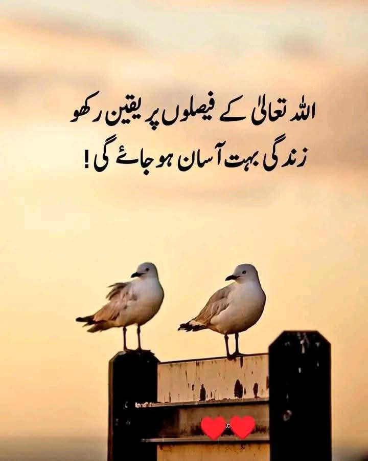 Mian Umar Farooq (@1975mian) on Twitter photo 