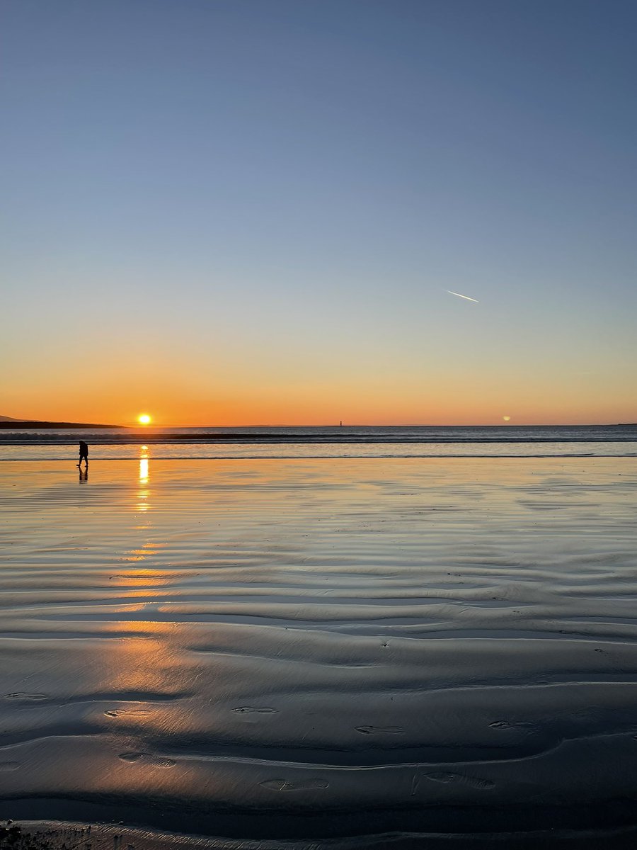 Séamus 🇮🇪 tweet media