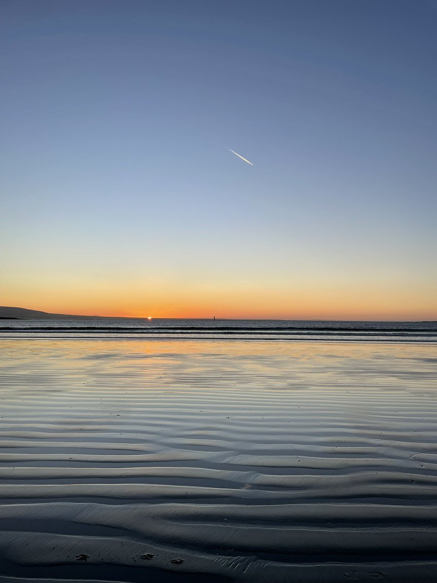 Séamus 🇮🇪 tweet media