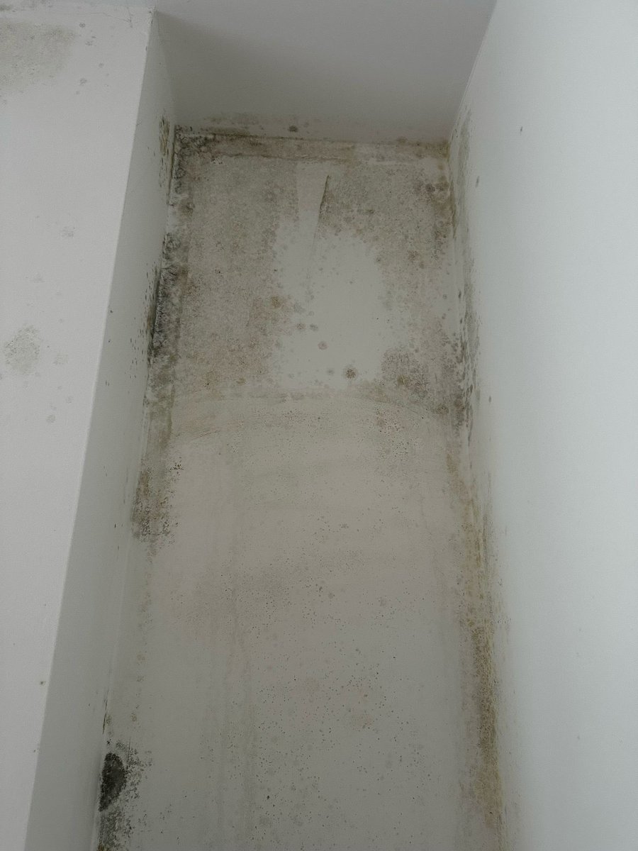 42issy's tweet photo. @WeAreVIVIDhomes would you live in flat  like this? To be told you mustn’t wash it off until it is seen…. Oh and it’s ok to let a child sleep with it too! #disgusting @BBCSouthNews @bbcsoutheast @itvmeridian https://t.co/mALkfFkJyg