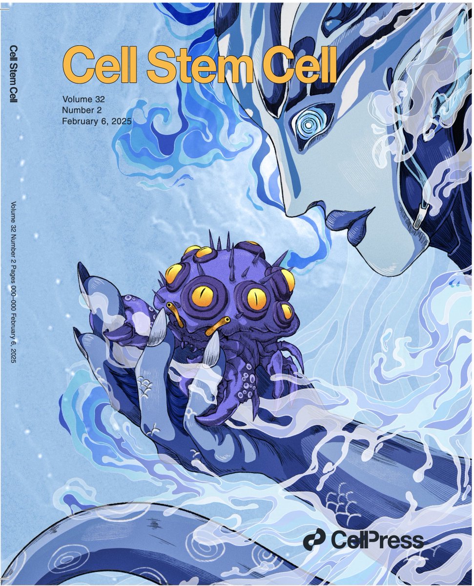 Daniel Yoshor, M.D. (@danielyoshor) on Twitter photo Cover of <a href="/CellStemCell/">Cell Stem Cell</a> today for <a href="/DrORourke2/">DrORourke</a> <a href="/LogunMeghan/">Meghan Logun</a> Zev Binde r <a href="/UPenn_SongMing/">Song and Ming Labs</a> and their outstanding collaborators. #organoids #avatar #GBM #CARt Cover of <a href="/CellStemCell/">Cell Stem Cell</a> today for <a href="/DrORourke2/">DrORourke</a> <a href="/LogunMeghan/">Meghan Logun</a> Zev Binde r <a href="/UPenn_SongMing/">Song and Ming Labs</a> and their outstanding collaborators. #organoids #avatar #GBM #CARt