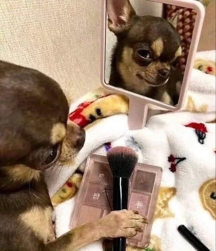 *Entro al trabajo a las 7:00 am*

Yo a las 6:59 am: