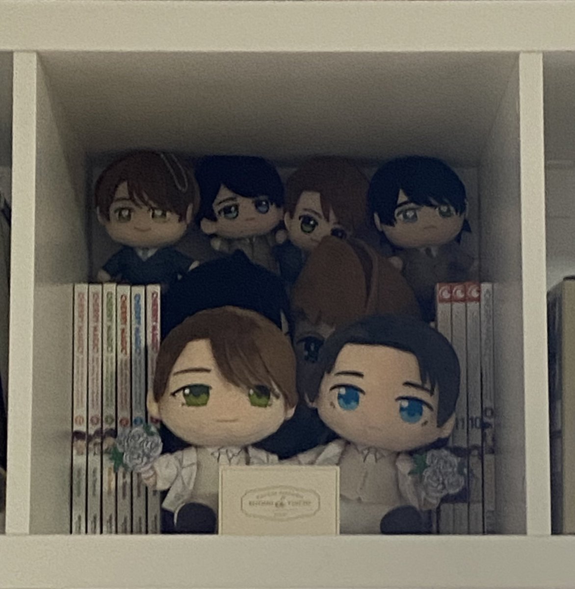 cherimahou's tweet image. kurodachi have taken over two of my shelves help #cherrymagic