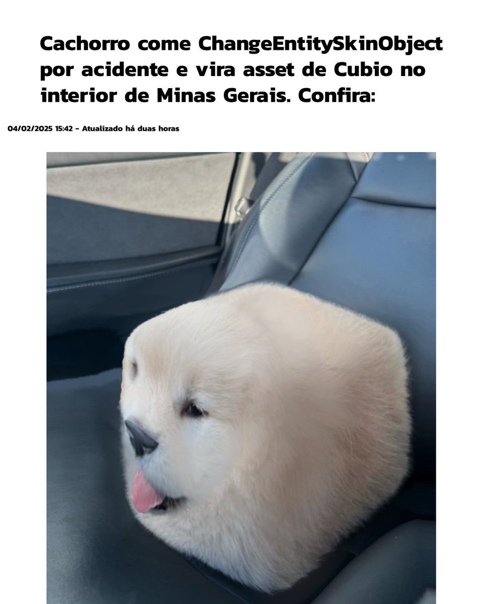 playcubiobr's tweet image. Essa conta do veterinário vai ser complicada 😭

#CubioAlpha #gamedev #gamedevBR #indiedev