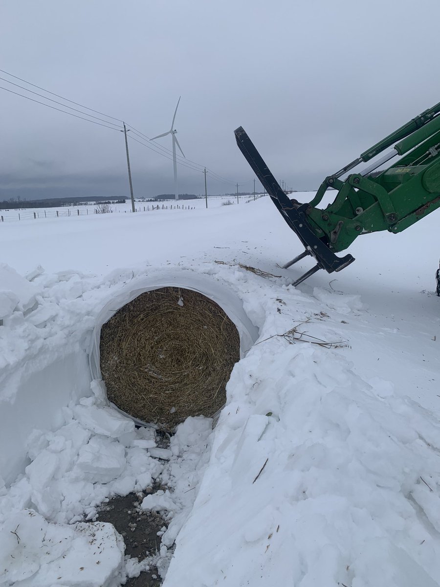 Bruce Ribey tweet media