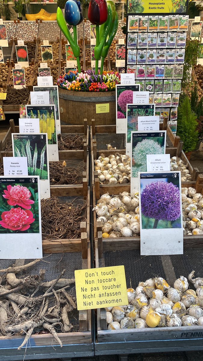 Karl Fischer tweet media