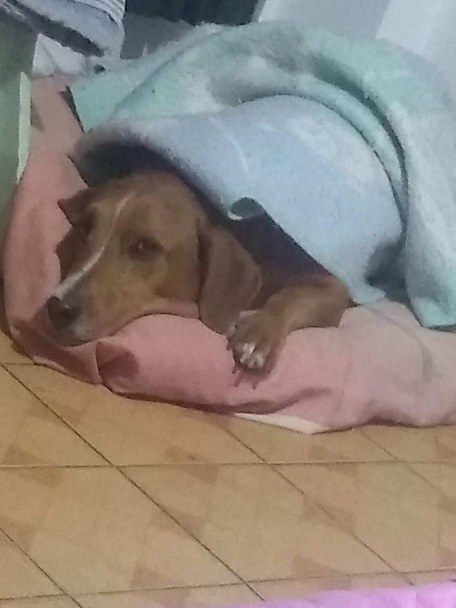 Solo le pido a la vida y a Dios que lo libre del cáncer y me conceda más años para disfrutar a su lado :(.