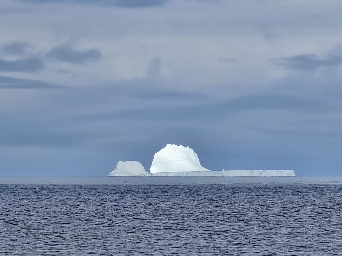 Olga Sánchez Guillamón tweet media