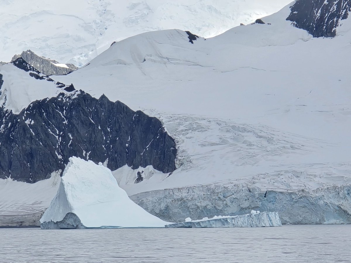 Olga Sánchez Guillamón tweet media