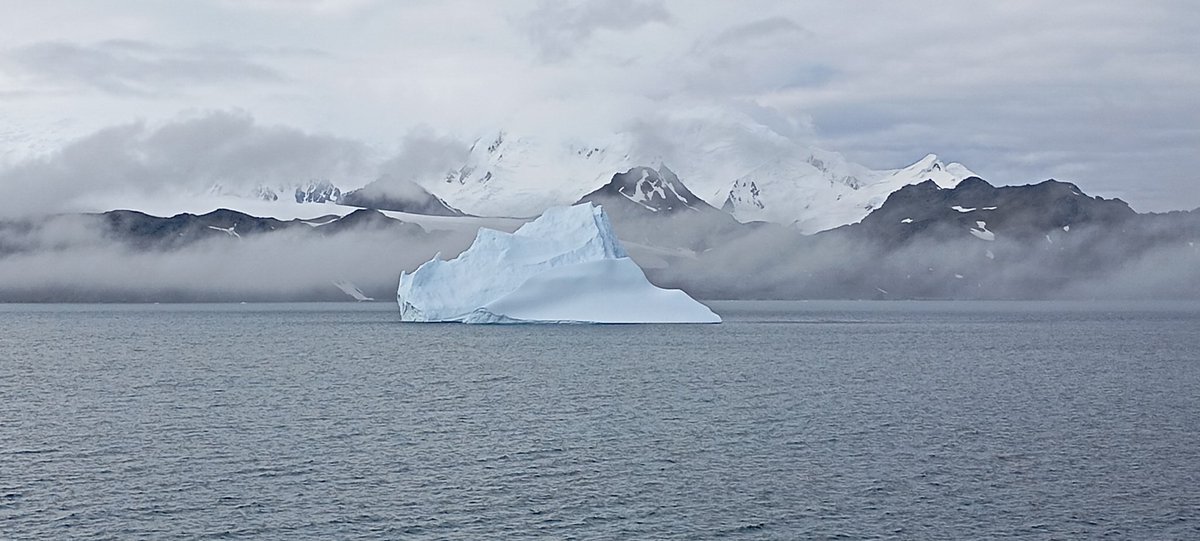 Olga Sánchez Guillamón tweet media