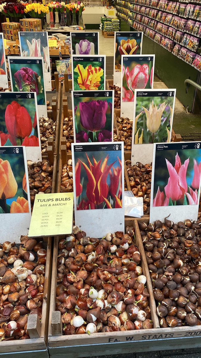 Karl Fischer tweet media