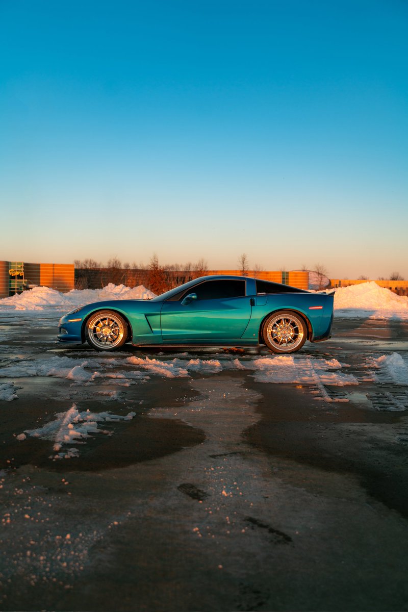 Dane Shuler tweet media