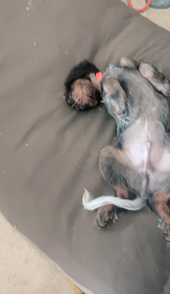 Mon petit singe 🐵