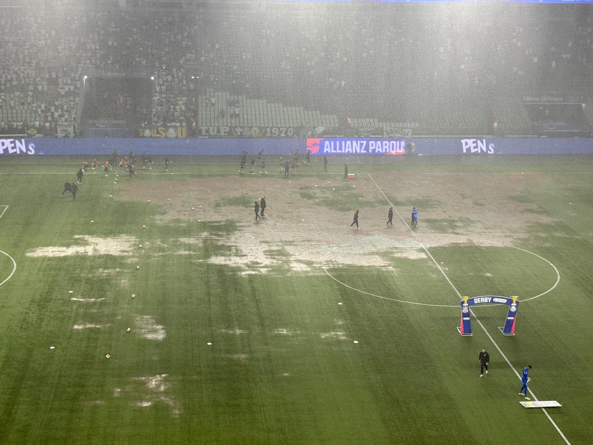Isso é Allianz Parque, gramado de time pequeno.

Vergonhoso.