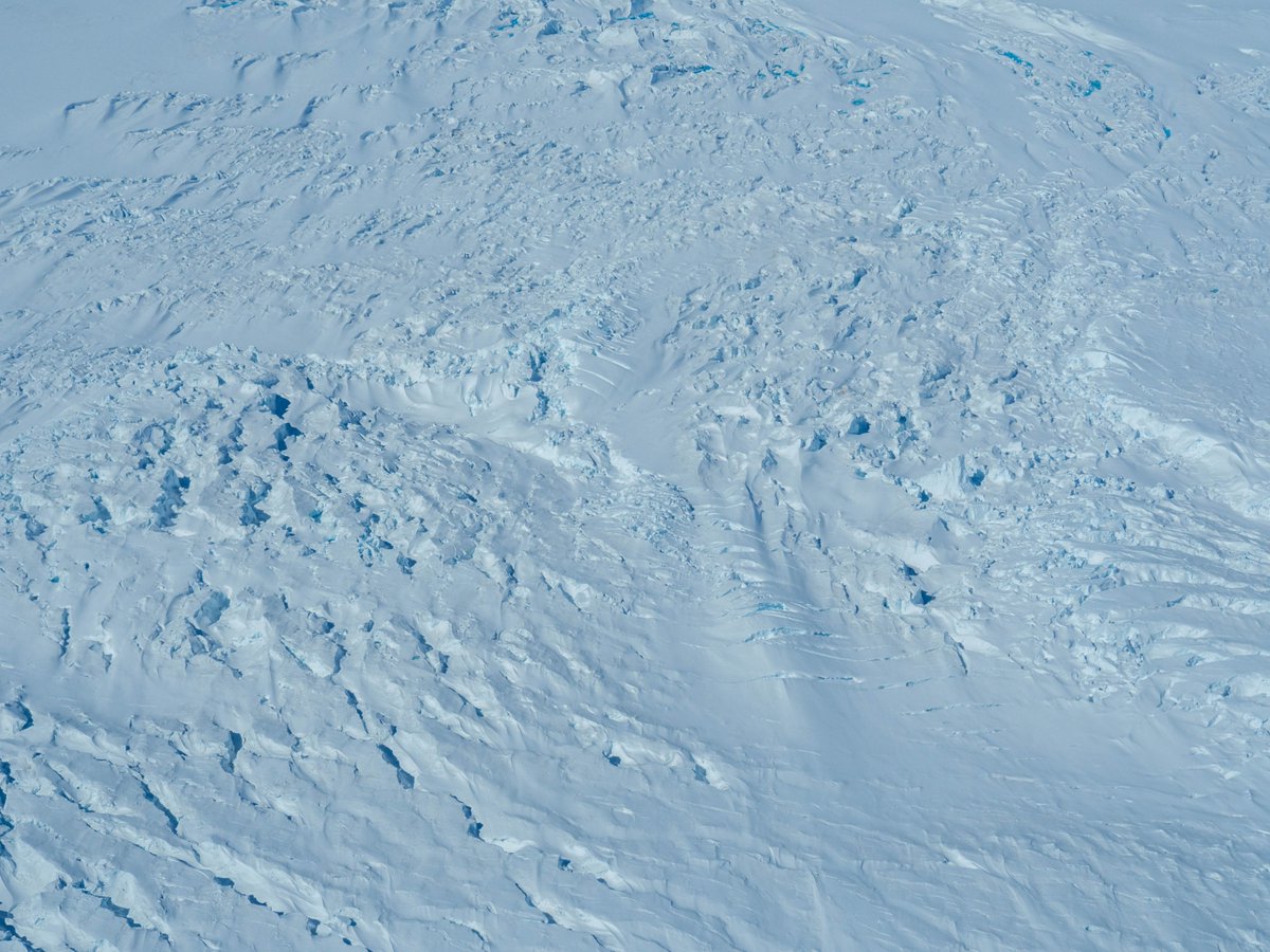 antarctica.gov.au (@ausantarctic) on Twitter photo 🤔What’s driving ice loss in Antarctica? A review published in <a href="/ScienceMagazine/">Science Magazine</a> today, highlights research opportunities to advance our understanding of the Antarctic system and better predict its contribution to future sea level rise.
More👉 science.org/doi/10.1126/sc…
📷L. Jong 🤔What’s driving ice loss in Antarctica? A review published in <a href="/ScienceMagazine/">Science Magazine</a> today, highlights research opportunities to advance our understanding of the Antarctic system and better predict its contribution to future sea level rise.
More👉 science.org/doi/10.1126/sc…
📷L. Jong