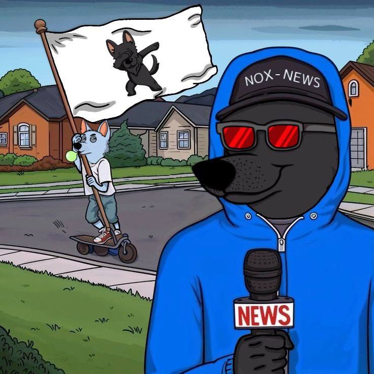 Nox CTO tweet media
