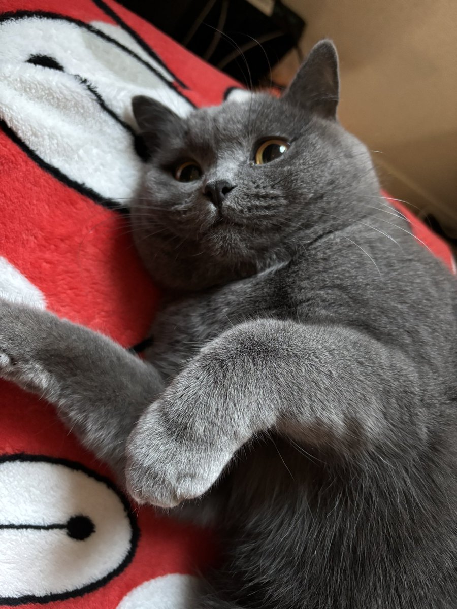 おはようございます