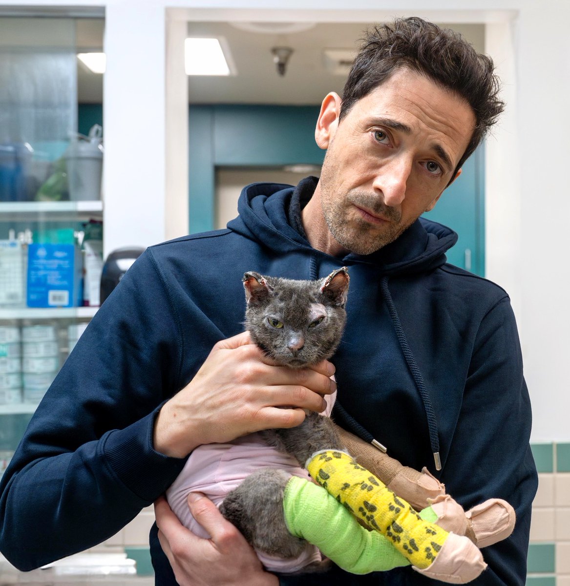 Bravo! Academy Award winning actor Adrien Brody volunteered at the Pasadena Humane Society yesterday and gave some love to animals injured during the LA fires.  ❤️❤️❤️   <a href="/adrienbrody/">Adrien Brody</a>