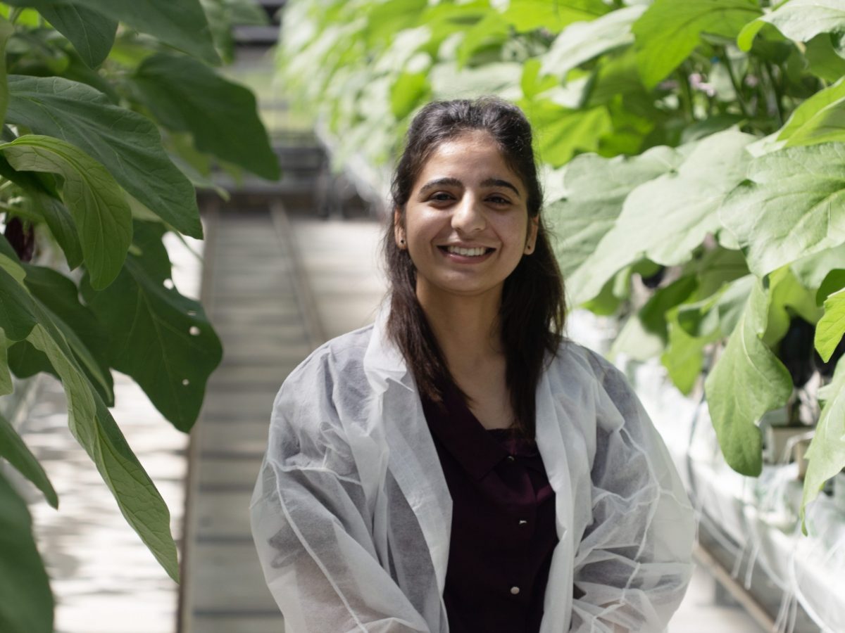 Future Food Systems CRC (@futurefoodcrc) on Twitter photo FFS PhD student Sonali Koundal & <a href="/westsyduhie/">Western Sydney U - HIE</a> researchers are exploring sustainable fertigation for greenhouse veggies. The team's latest paper highlights the potential benefits of maintained #fertigation impacting productivity & quality of #cucumbers. sciencedirect.com/science/articl⦠FFS PhD student Sonali Koundal & <a href="/westsyduhie/">Western Sydney U - HIE</a> researchers are exploring sustainable fertigation for greenhouse veggies. The team's latest paper highlights the potential benefits of maintained #fertigation impacting productivity & quality of #cucumbers. sciencedirect.com/science/articlā¦