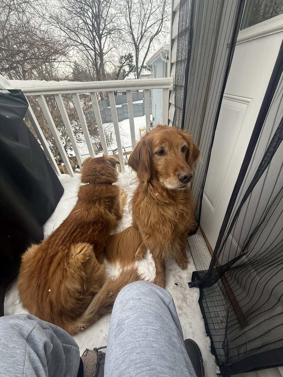 Chelsea Gilchrist tweet media