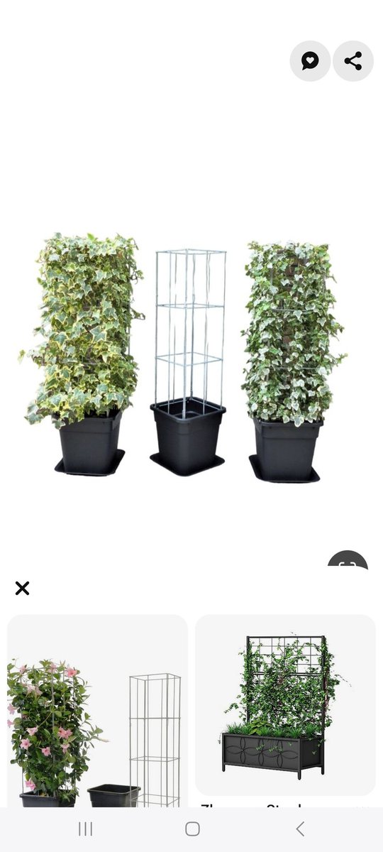 Easy Plant Pillar climbing plant racks. Vertical gardening with vegetables, fruit and support for other plants, more than 40 models. The Wire Racks do not rust and are extendable.
easyplantpillar.nl