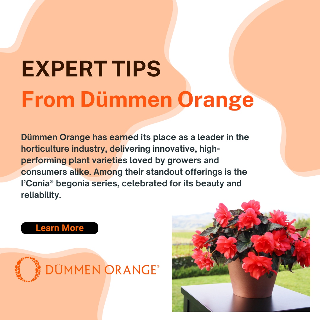 GPN Magazine (@gpnmag) on Twitter photo In this Q&A, we chat with Kelly Nicholas, Head of Technical Services for North America at <a href="/DummenOrangeEU/">Dümmen Orange, EU</a>, to uncover what makes these begonias so special.
(Sponsored)
Learn more: gpnmag.com/article/master… In this Q&A, we chat with Kelly Nicholas, Head of Technical Services for North America at <a href="/DummenOrangeEU/">Dümmen Orange, EU</a>, to uncover what makes these begonias so special.
(Sponsored)
Learn more: gpnmag.com/article/master…