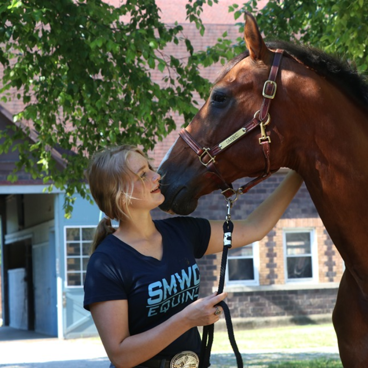 Fantastic sports facilities coupled with the Larry Bird Museum, <a href="/TheHaute_Rex/">TerreHauteRex</a>, and more, make Terre Haute the perfect place for a sports event. 🏀⚾

Learn more about <a href="/SeeYouInTH/">See You In Terre Haute</a>!👉 sportsplanningguide.com/terre-haute-in…

#Terredise #SeeYouInTerreHaute #Indiana #SportsTourism #EventPlanning