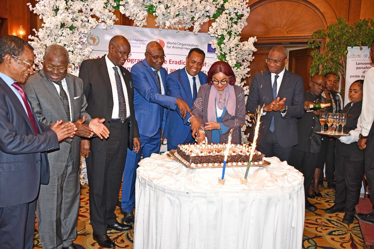 JosefaSacko's tweet image. The launch of Pan-African Program for Eradication of Peste des Petits Ruminants ( #PPR ) &amp;amp; the Control of Other Priority Small Ruminant Diseases under theme "Uniting Africa for a PPR-Free Future." This is a historic moment for Africa 
@au_ibar 
@AU_DARBE 
youtube.com/watch?v=7Xhwuq