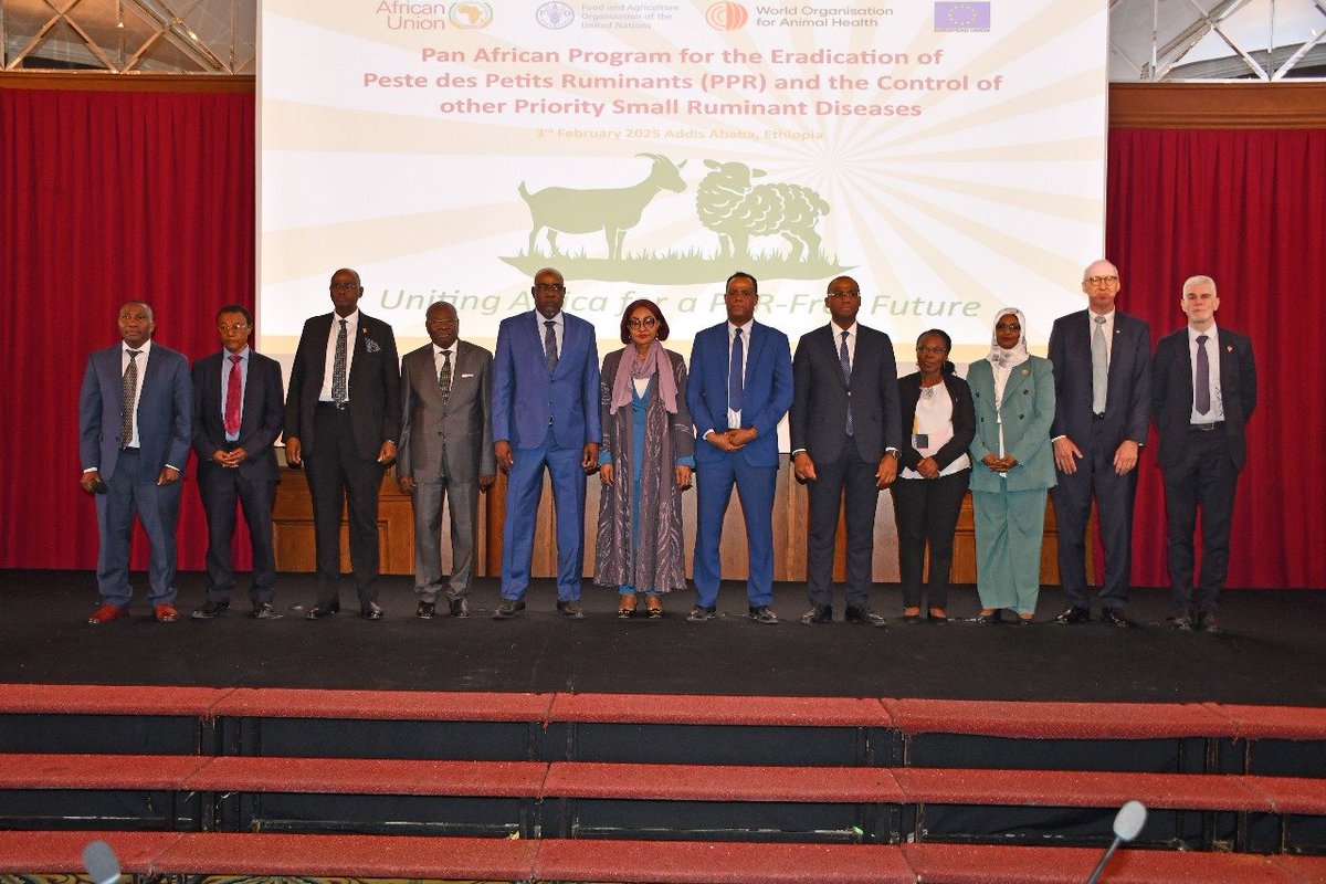 JosefaSacko's tweet image. The launch of Pan-African Program for Eradication of Peste des Petits Ruminants ( #PPR ) &amp;amp; the Control of Other Priority Small Ruminant Diseases under theme "Uniting Africa for a PPR-Free Future." This is a historic moment for Africa 
@au_ibar 
@AU_DARBE 
youtube.com/watch?v=7Xhwuq